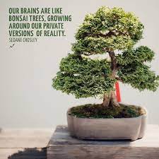 I Thought This Was A Cool Unique Quote It S Simple But There S A Lot Of Depth To It I First Learned About The Art Bonsai From Wat Bonsai Unique Quote Plants