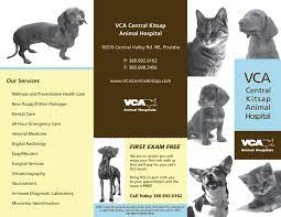 Google Image Result For Http 3 Bp Blogspot Com Aqmynvh2mgc Tvsub6mkxvi Aaaaaaaaaee Qhol8ag Fly S16 Black N White Images Veterinary Hospital Trifold Brochure