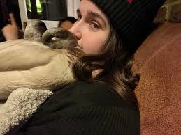 🥹🥹🥹 my Kevin has never done this! Proper beak in wing whilst cuddling me  ❤️