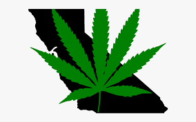 Marijuana Clipart Illegal 420 Weed Png Free Transparent Clipart Clipartkey Over 200 angles available for each 3d object, rotate and download. 420 weed png free transparent clipart