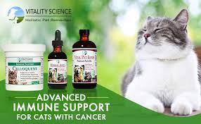 Amazon Com Vitality Science Advanced Immune Restoration Program For Cat Cancer Support Holistic 3 Step Program Immune Support Cat Cancer Treatment Supplements Pain Relief Small Pet Supplies