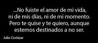 Juliocortazar Frases Citas No Fuiste El Amor De Mi Vida Ni De Mis Dias Ni De Mi Momento Pero Te Quise Citas De La Sabiduria Cortazar Amor De Mi Vida