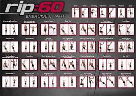 Rip 60 Wall Chart Exercise Charts Fitness