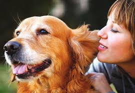 Harper named Chamber interim president