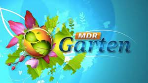 We did not find results for: Mdr Garten Sendungen Von A Bis Z Programm Ard De