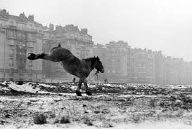 Открыть страницу «le hangar des marques» на facebook. Exhibition Sabine Weiss At Jeu De Paume Chateau De Tours Art Blart