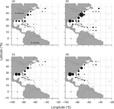 To date, there haven't been any significant challenges. halifax mayor mike savage told. The Spatiotemporal Distribution Of Us Longline Effort In The Atlantic Download Scientific Diagram
