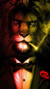 Mister Lion Iphone Wallpaper Aslan Dovmesi Dijital Boyama Kurklu Sanat