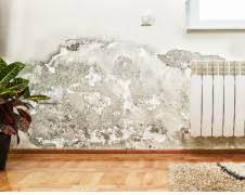 How to get damp smell out of basement. Why Basements Smell Musty Advantaclean