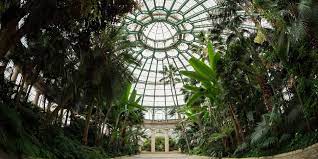 Ouverture des serres de laeken. Voici Combien Coute L Entretien Des Serres Royales De Laeken Dh Les Sports