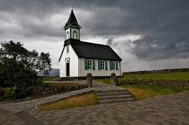 Image result for Tragia kirkiana