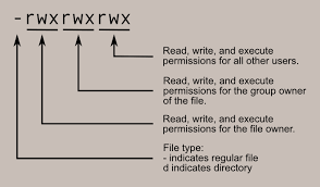 The write permission gives you the authority to modify the contents of a file. Learning The Shell Lesson 9 Permissions
