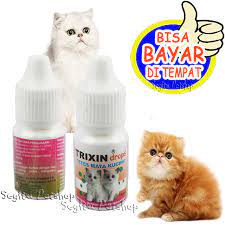 Kucing yang ditempatkan di lingkungan yang lembap sering mengalami berikut jenis penyakit kulit kucing beserta penyebab dan penanganannya yang wajib ketahui semua orang. Obat Sakit Mata Kucing Merah Belekan Tetes Kitten Trixin Lazada Indonesia