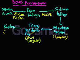 Check spelling or type a new query. Proses Pendengaran Youtube