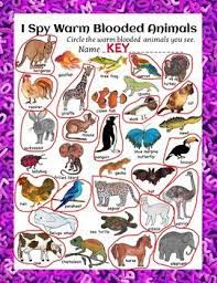 Animal Classification Worksheets Warm And Cold Blooded I Spy Fun Animal Classification Animal Classification Worksheet Animal Worksheets