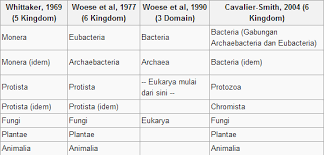 Kingdom eubacteria adalah organisme prokariotik atau tidak memiliki membran inti dan uniseluler (bersel tunggal). Http Eprints Uny Ac Id 46788 16 Rpp 205 20kingdom 20makhluk 20hidup Pdf