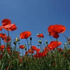 Tag der osterzeit wird von den gläubigen die entsendung des heiligen geistes gefeiert. Pfingsten Langes Wochenende 2021 2022 2023 Schone Pfingsten