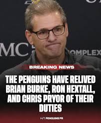 Who can clean a house