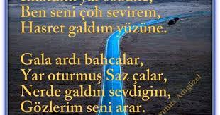 Tc Yunus Adiguzel Yunus Resim