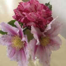 838 likes · 4 talking about this. Fiori Per Te Home Facebook