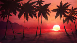 Find the best sunset beach wallpaper on getwallpapers. 600x900 Sunset Tropical Beach Palm Trees Wallpaper Beach Sunset Wallpaper Sunset Wallpaper Palm Trees Wallpaper