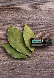 Descubre Soluciones Hoja De Laurel Aceites Esenciales Dōterra