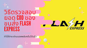 ตรวจ สถานะ flash player