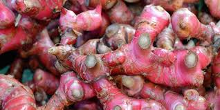 Jul 08, 2021 · bsgsimana cara mengola temulawak untuk di konsumsi buat obat / kebiasaan sederhana yang mampu menurunkan kolesterol. Jahe Merah Khasiat Saran Pengolahan Dan Cara Menyimpan Halaman All Kompas Com