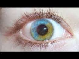 Goz Renginizi Degistirin Change Eye Color 100 True Biyokinezi Youtube