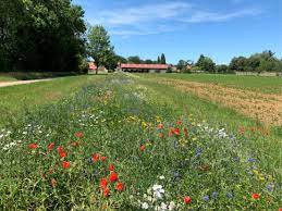 Learn vocabulary, terms and more with flashcards, games and other study tools. Landscape Scale Expansion Of Agroecology To Enhance Natural Pest Control A Systematic Review Sciencedirect
