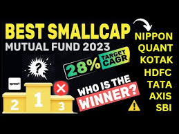 Best Small Cap Mutual Funds 2021 | Small Cap Mutual Fund Returns | Best  Mutual Funds For Beginners - Youtube