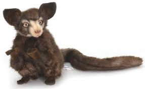 Explore Animal Auroral Aye Aye Plush Stuffed Animal 9 Inches Hansa Plush Animals Animals Teddy Bear Stuffed Animal