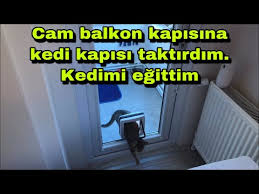 Kedileriniz Camdan Dusmesin Kedi Sinekligi Nedir Pileli Sineklik Nasil Imal Edilir Youtube