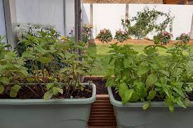 Your pretty pots are ready and you can proudly display them on your living room side tables or wherever you please. Cuprinol Garden Shades Review Of Outdoor Paint For The Garden