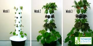 Check spelling or type a new query. 5 Research Backed Benefits Of Aeroponic Gardening