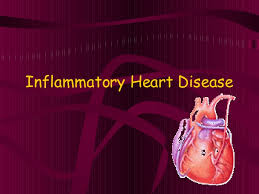 Presence of airway edema and mucus secretion also contributes to airflow obstruction and bronchial reactivity. Inflammatory Heart Disease