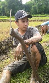Perusahaan yang memproduksi triplek bukan saja memasok kebutuhan dalam negeri. Loker Ponorogo Magetan Madiun Facebook