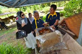 Khasiat madu lebah kelulut khasiat madu kelulut lebah kelulut menghasilkan madu kelulut, propolis dan juga 'bee bread' iai. Ydsm Sediakan Platform Untuk Ibu Tunggal Dan Beliawanis Menternak Kelulut Dan Menghasilkan Produk Diperbuat Daripada Madu Kelulut Yayasan Diraja Sultan Mizan
