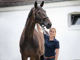 Das hat auch einfluss auf die turnierplanung. Corona Krise Familienzeit Hamstern Bob Marley Horen Patrick Ehelechner Christopher Kas Sport In Der Region