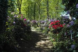 So schützen sie bäume, hecken und. Garten Konig Wiefelstede Neu Mit Liebe Zum Detail Gartentraume In Wiefelstede Garten Anlegen