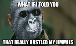 Rustled Jimmies Meme Animal Sounds Jungle Animals Animal Planet