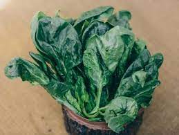 The more oxygen you can remove from the packaging, the longer the spinach leaves will last and they'll retain more nutrition. Can You Freeze Spinach Yes Freezing Spinach Tips Hgtv