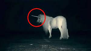 Check spelling or type a new query. 5 Unicorns Caught On Camera Spotted In Real Life Grabado Criaturas Mitologicas Unicornio