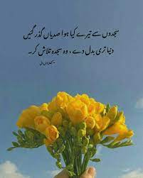Pin By Raaz E Ishq On Shayari In 2020 Instagram Instagram Photo Love Poetry Urdu