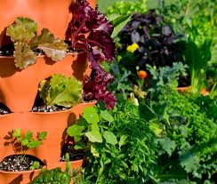 Interactive Drag Drop Planting Designer And Salad Tower Sample Planting Plan Garden Tower Project Planting Plan Planting Layout Plants