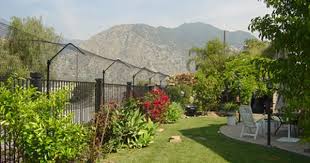 Purrfect Fence Reviews Experiences Cat Fence Cat Garden Cat Toilet Training