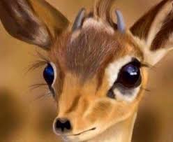 صور عيون الريم حيوان الريم اجمل عيون 2017 حيوانات وليس بنات كما يبحث عليها animals beautiful animals cute animals