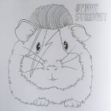 Free shipping on orders over $25 shipped by amazon. Guinea Pig Colouring Book Everything Guinea Pig