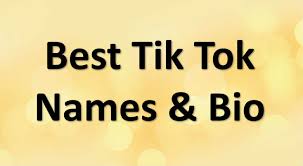 Keeping it simple keeps it fun! Best 100 Tik Tok Names Bio