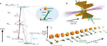 But, do we actually do it? Level Scheme Of Sr And The Rotating Dipole Moment Of A Download Scientific Diagram